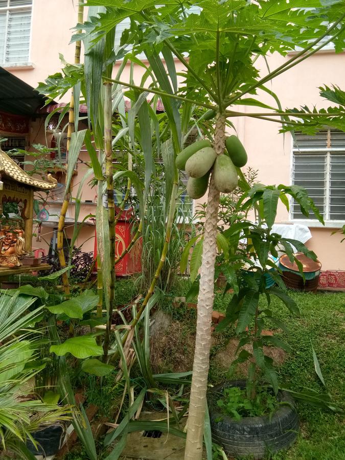 Genting Bukit Tinggi Homestay ภายนอก รูปภาพ